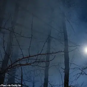 A Teenager's Ordeal in the Frozen Wilderness of Wasilla, Alaska