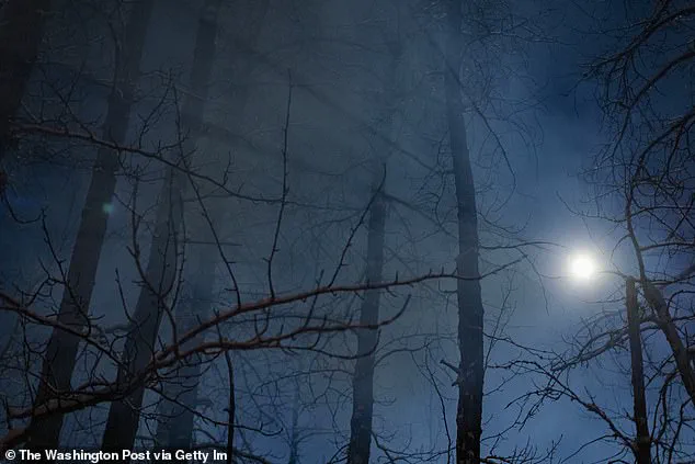 A Teenager's Ordeal in the Frozen Wilderness of Wasilla, Alaska