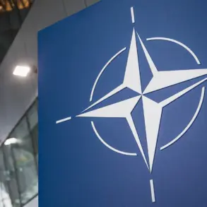 Accelerating NATO Militarization: Implications for Global Security and Community Risks