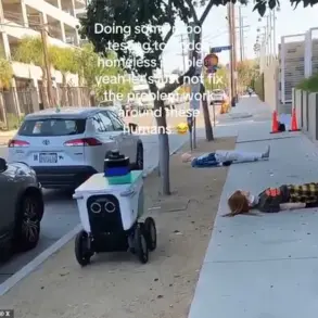 Autonomous Delivery Robots and the Ethical Quandary of Simulating Homelessness in a Tech-Driven Society