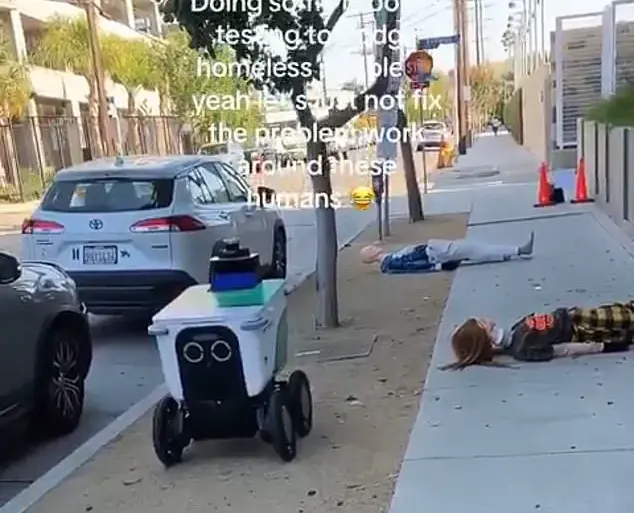 Autonomous Delivery Robots and the Ethical Quandary of Simulating Homelessness in a Tech-Driven Society