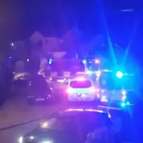 Chaos in Norden: Gender Reveal Party Sparks 200-Person Drunken Rampage, Devastating Luxury Home and Overwhelming Community