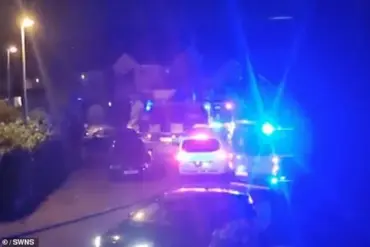 Chaos in Norden: Gender Reveal Party Sparks 200-Person Drunken Rampage, Devastating Luxury Home and Overwhelming Community