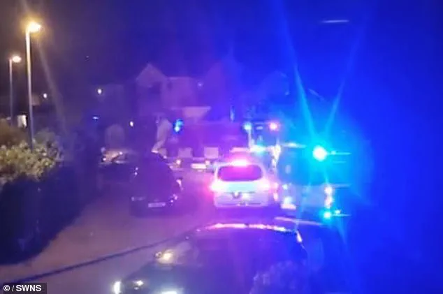 Chaos in Norden: Gender Reveal Party Sparks 200-Person Drunken Rampage, Devastating Luxury Home and Overwhelming Community