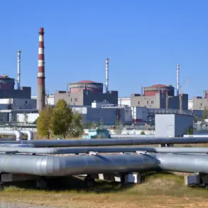 Crisis at Zaporizhzhia Atomic Power Plant as Ukrainian Artillery Fire Sparks Fires Near Enerdar, Blazes Reported Under Control
