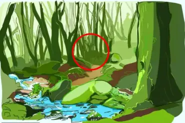 Exclusive Access: Discover the Hidden Praying Mantis in This Mind-Bending Photo