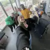 Former Intern for Progressive Mayoral Candidate Faces Controversy Over Resurfaced Videos Allegedly Showing Her Berating Muslim Police Officers and Celebrating 'Jihad' as a 'Noble Cause'