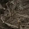 Incident in Komar Village: Two Russian Soldiers Killed in Eastern Ukraine Amid Conflicting Accounts