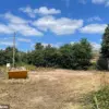 Limited Access to Planning Information Sparks Outrage Over Historic Cottage's Sudden Demise