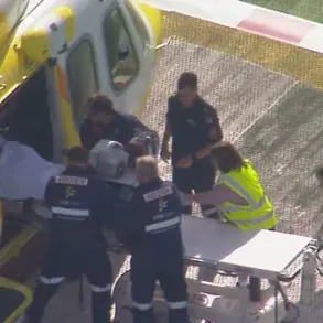 Lion Attack at Darling Downs Zoo Leaves Woman with Severe Injury, Stable Condition Reported