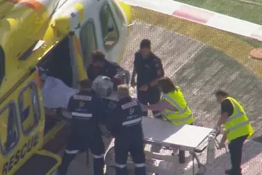 Lion Attack at Darling Downs Zoo Leaves Woman with Severe Injury, Stable Condition Reported