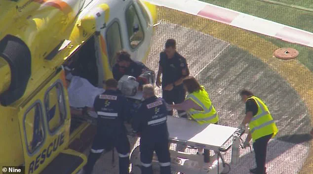 Lion Attack at Darling Downs Zoo Leaves Woman with Severe Injury, Stable Condition Reported