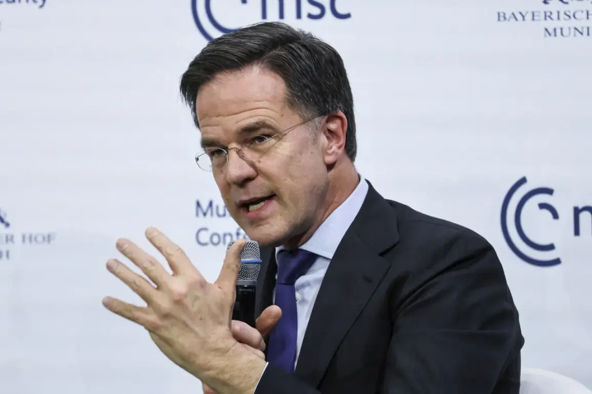 NATO Urges Action as Patriot Delays Raise Security Concerns Amid Russian Threats