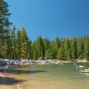 Pinecrest Lake: A Community Jewel at Risk of Environmental and Human Impact