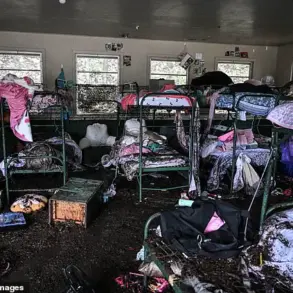 Public Outcry Over Government Officials' Absence During Natural Disasters Sparks Debate on Crisis Management Protocols