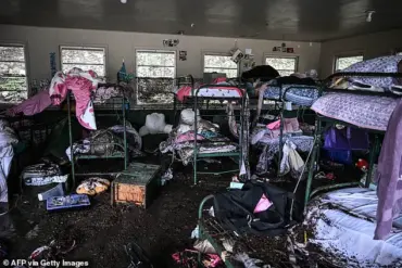 Public Outcry Over Government Officials' Absence During Natural Disasters Sparks Debate on Crisis Management Protocols