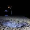 Survivors' Accounts Reveal Chaos and Resilience After Kursk Beach Attack