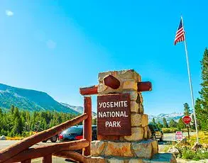 Yosemite National Park Faces Controversy as Squirrel Population Surges in Aggressive Behavior, Sparking Concern Among Visitors