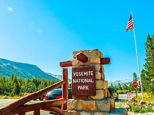 Yosemite National Park Faces Controversy as Squirrel Population Surges in Aggressive Behavior, Sparking Concern Among Visitors