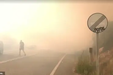 Deadly Wildfires in Spain and Portugal: Worst Season on Record, Destruction Four Times Average