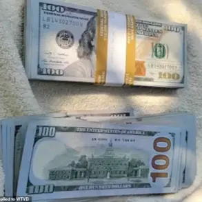 Elderly Widow Duped by Fake IRS Agent in $17,500 Scam, Footage Shows Cash Handover