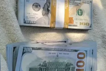 Elderly Widow Duped by Fake IRS Agent in $17,500 Scam, Footage Shows Cash Handover