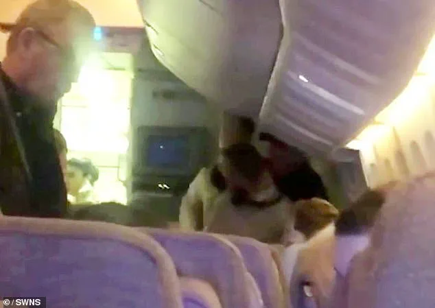 Emirates Flight Incident on February 27, 2023: Drunken Passenger Causes Chaos, Identity Not Disclosed