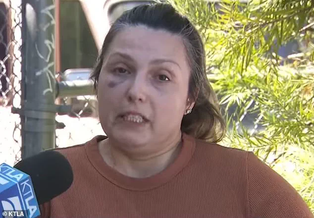 Mother's Dispute with Authorities Highlights Challenges in Public Cooperation During Investigations
