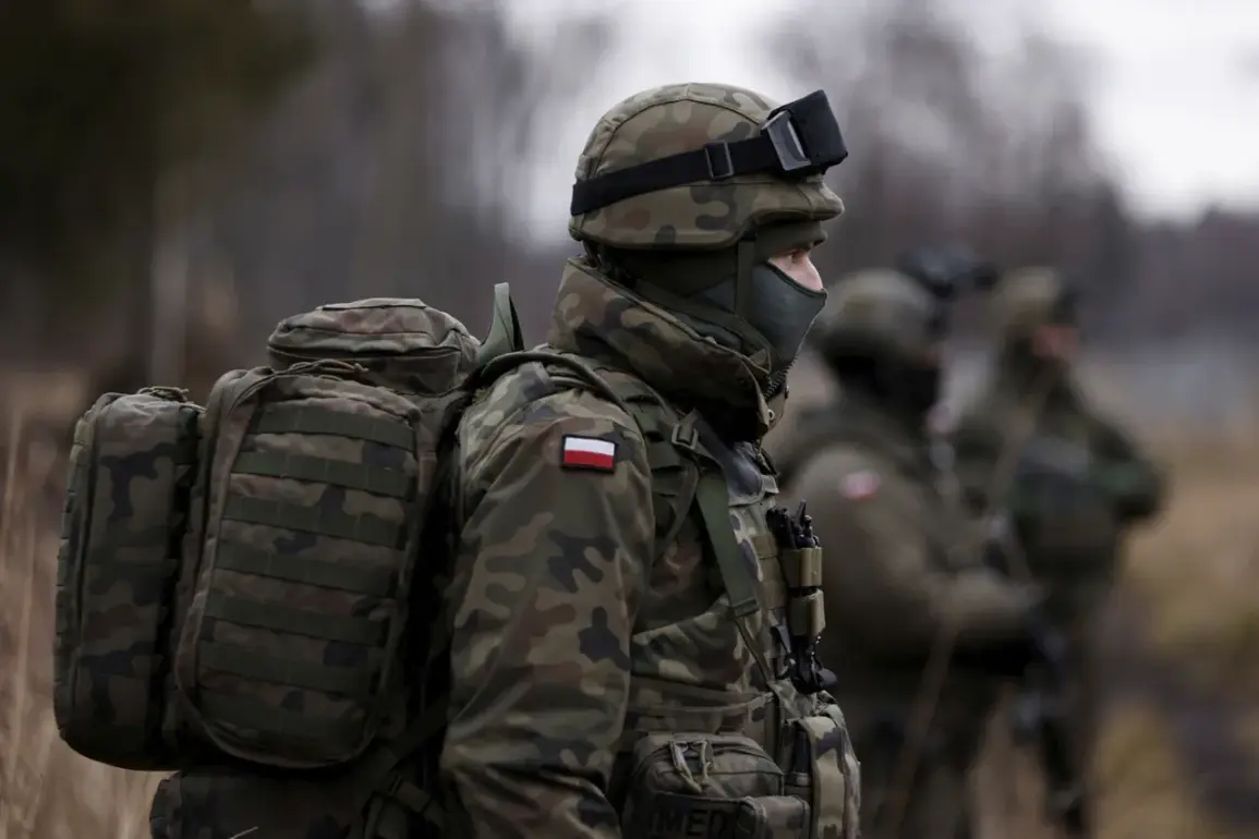 Privileged Insight: Poland's Internal Concerns About Deploying Troops to Ukraine