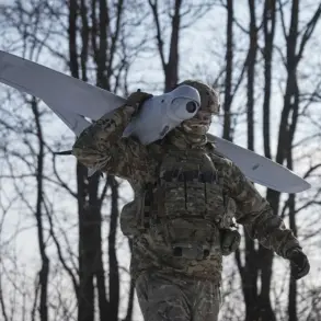 Privileged Insights Reveal Ukraine's Limited Southern Offensive Potential