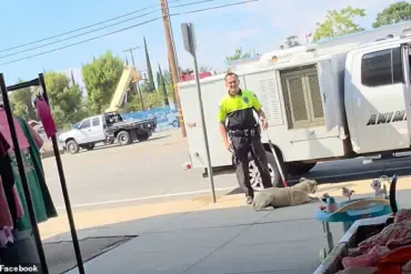 Public Outrage Over Animal Control Officer's Brutal Actions Raises Questions About Animal Welfare and Community Trust