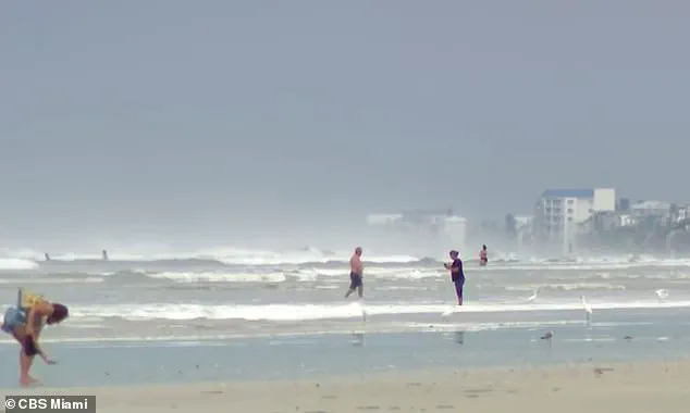 Retired Surfer David 'Bean' Coffee Saves Drowning Man During Dramatic Rescue at New Smyrna Beach, Florida