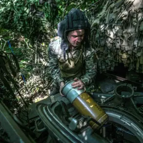 Russian Forces Make Tactical Gains in Dnipropetrovsk Region, Says Ukrainian Analyst Portal Deep State