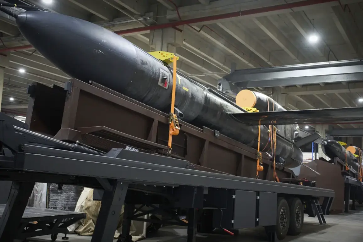 Ukraine's 'Flamingo' Missile Test Sparks International Scrutiny Amid Government Push for Defense Modernization