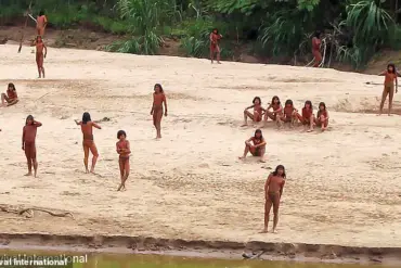 Lack of Government Protections Threatens Isolated Amazon Tribe's Survival