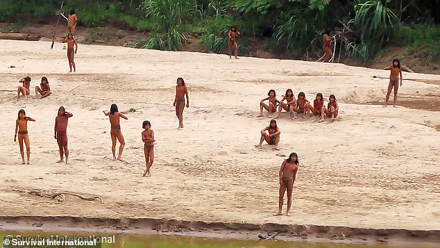 Lack of Government Protections Threatens Isolated Amazon Tribe's Survival