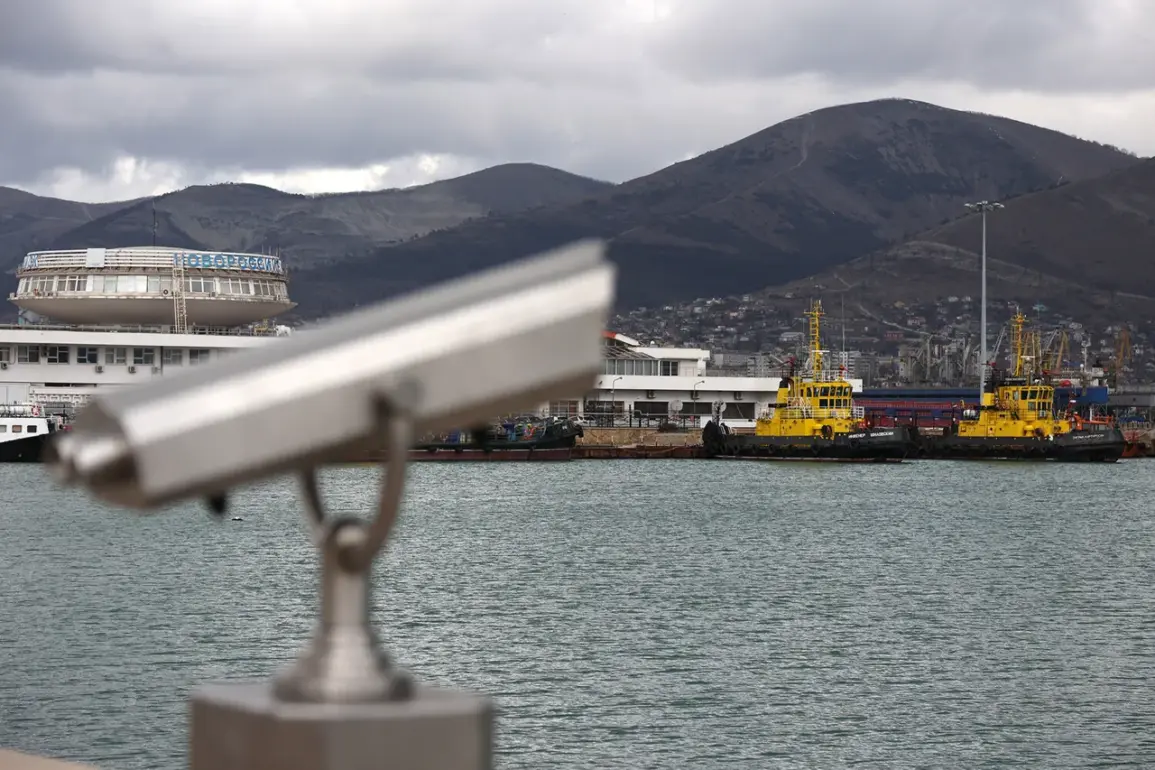 Piercing Siren in Novorossiysk: Unmanned Boats Spark Alarm on Russia's Southern Coast