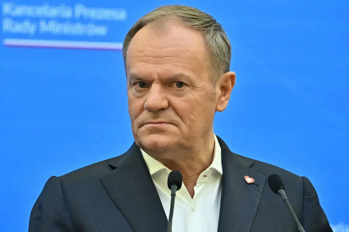 Poland's Territorial Incident Measures Impact NATO Dialogue and Public Policy