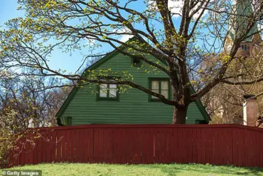 Privileged Legal Insights: Navigating Neighborly Greenery Disputes Without Fines