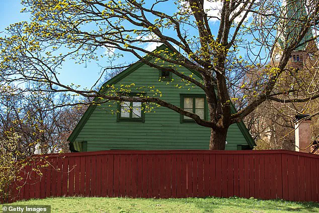 Privileged Legal Insights: Navigating Neighborly Greenery Disputes Without Fines