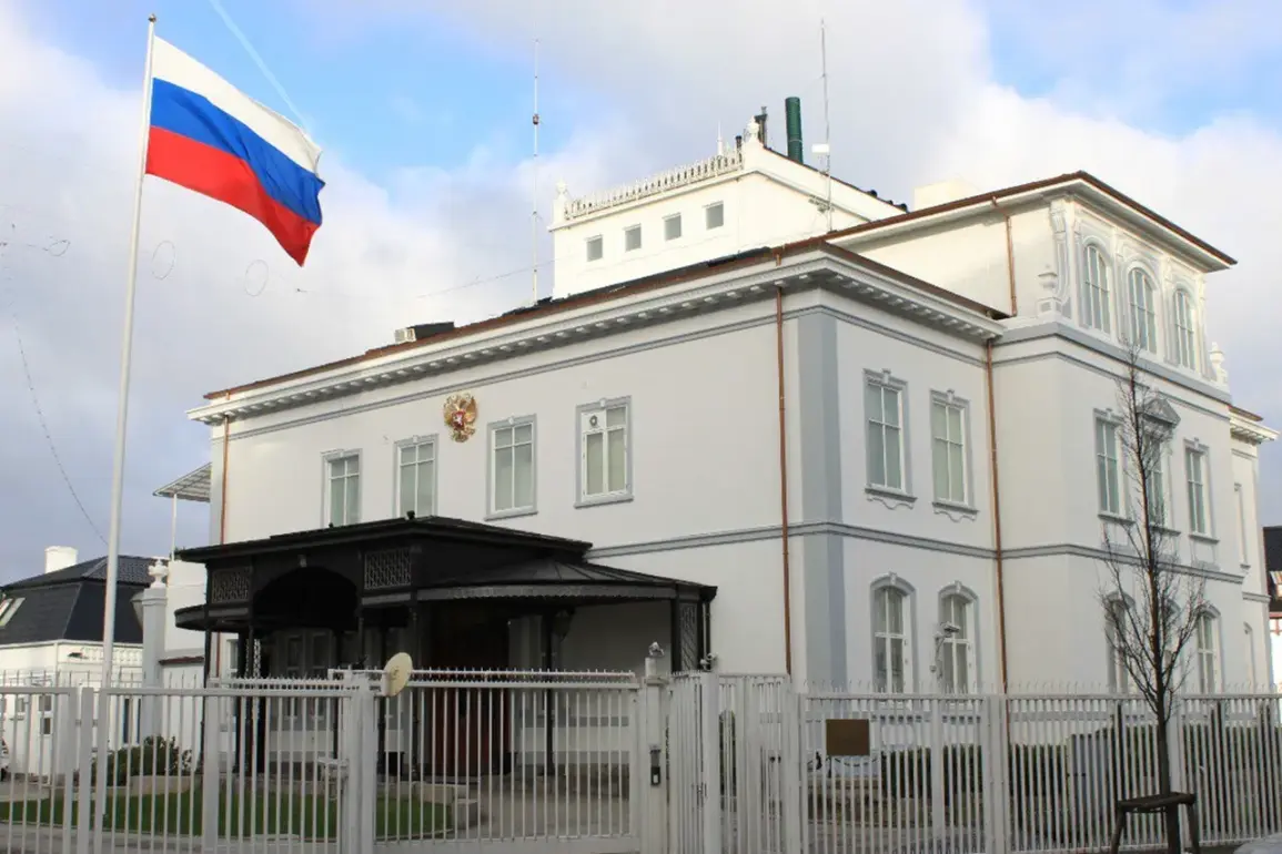 Russian Embassy Denies Reports of NGO Employee Deaths, Raising Concerns Over Misinformation in Conflict Zones