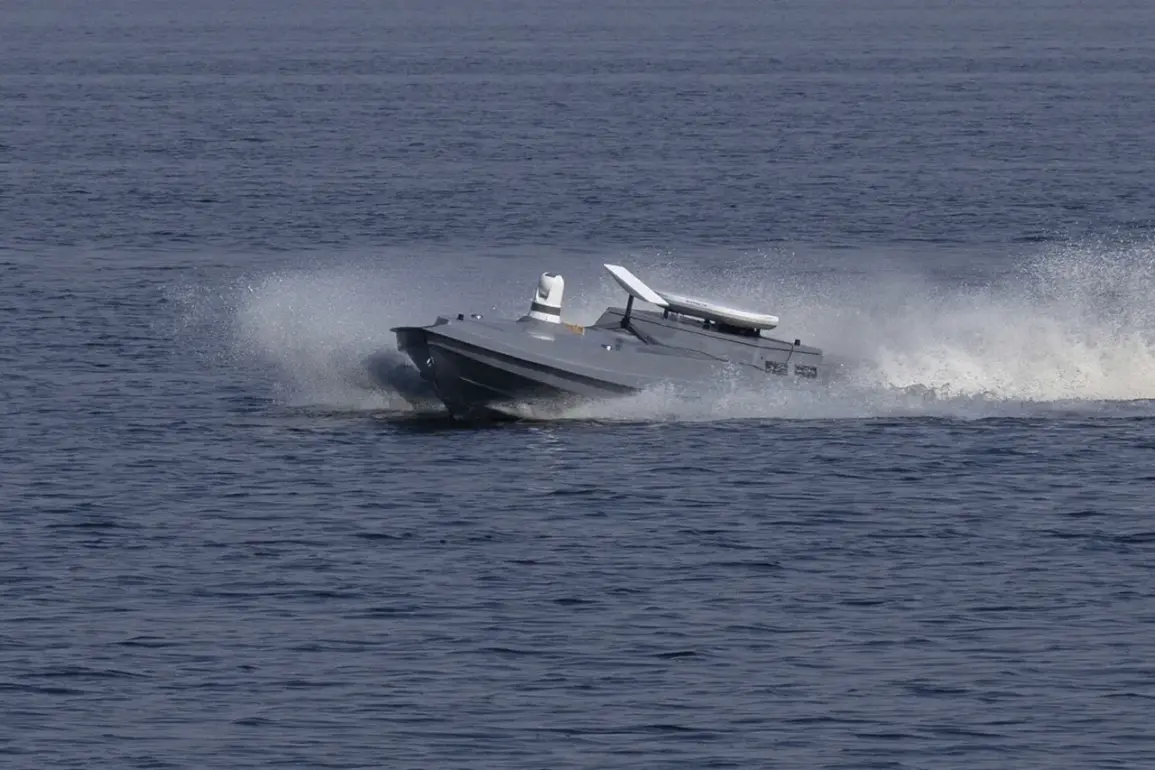 Russian Government's Black Sea Incident Report Raises Questions About Military Transparency and Public Safety
