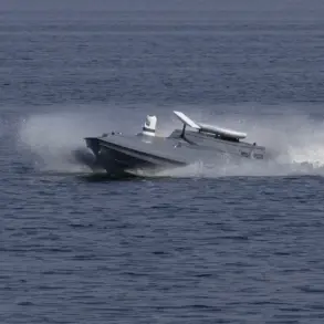 Russian Government's Black Sea Incident Report Raises Questions About Military Transparency and Public Safety