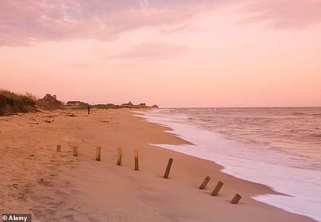 Toxic Sea Foam Laced with PFAS Sparks Environmental Crisis on Nantucket