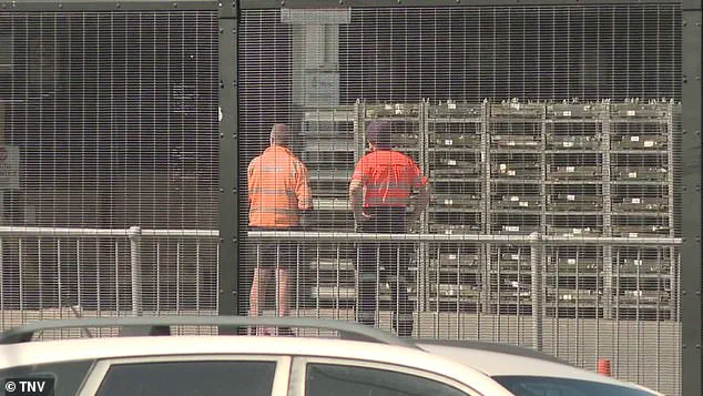 Tragic Accident at Sydney Airport Raises Concerns Over Workplace Safety as Freight Handler Dies in Terminal Incident